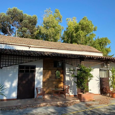 Tenuta La Volpe Miglionico Esterno foto